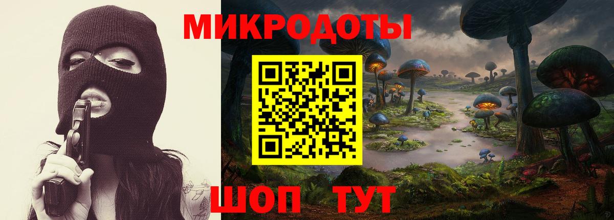 Ногинск  где найти наркотики  Псилоцибиновые грибы ЛСД  Вход с VPN  Псилоцибиновые грибы мухоморы 